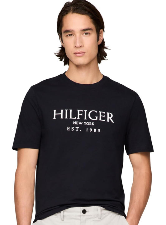 Camiseta Tommy Hilfiger Desert sky